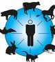 بیماریهای مشترک انسان و دام